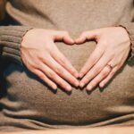 pregnant-gravid-flyga