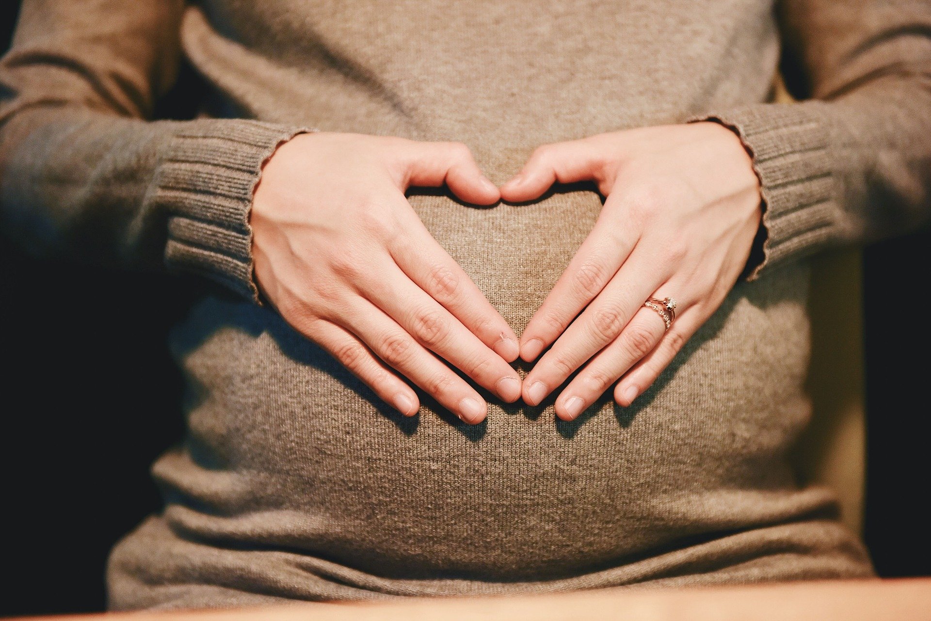 pregnant-gravid-flyga