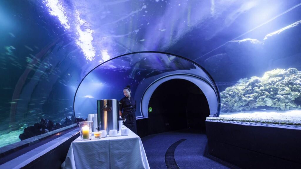 Universeum med barn